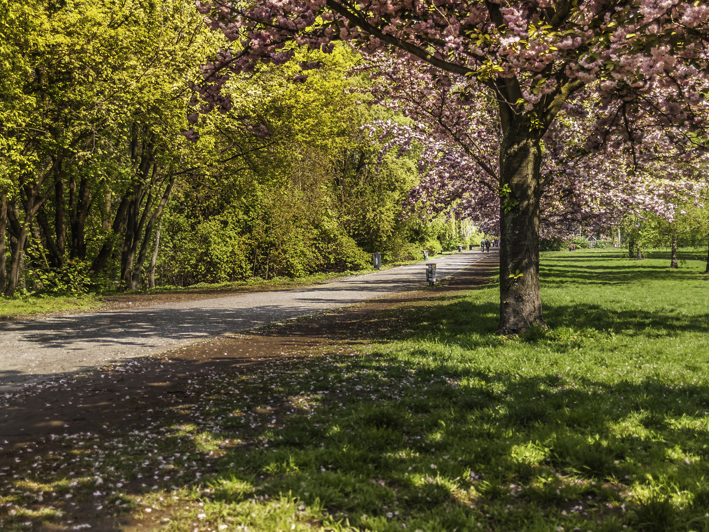 Frühling im Treptower Park Berlin