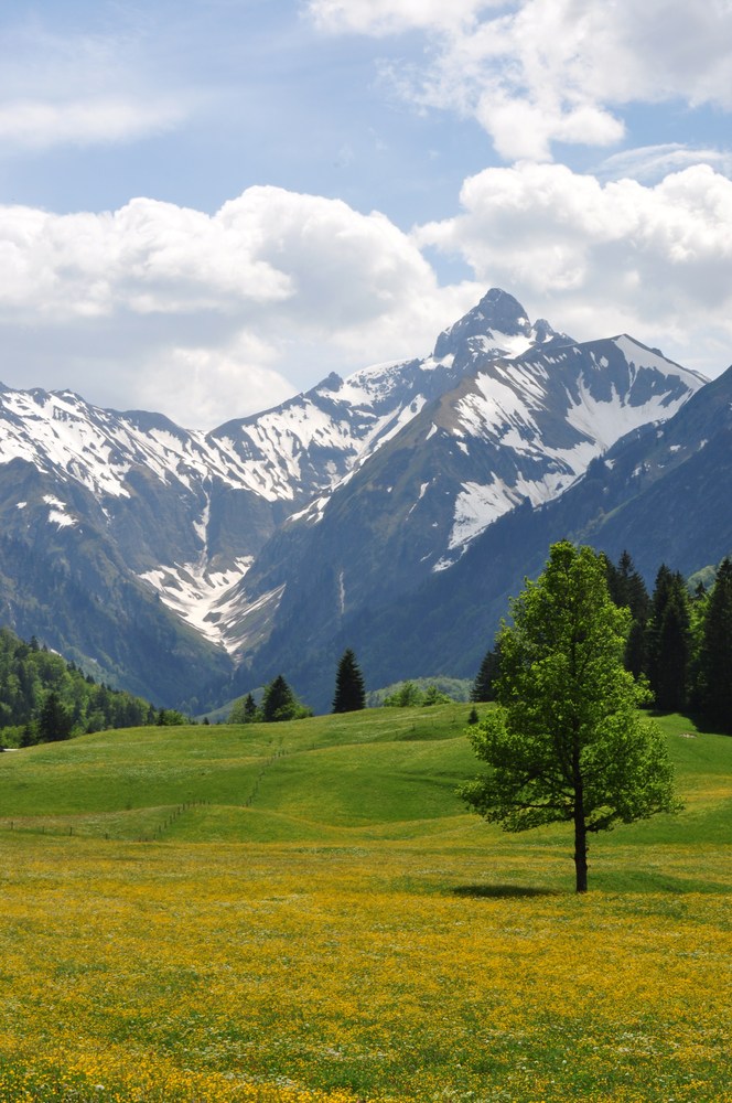 Frühling im Trettachtal