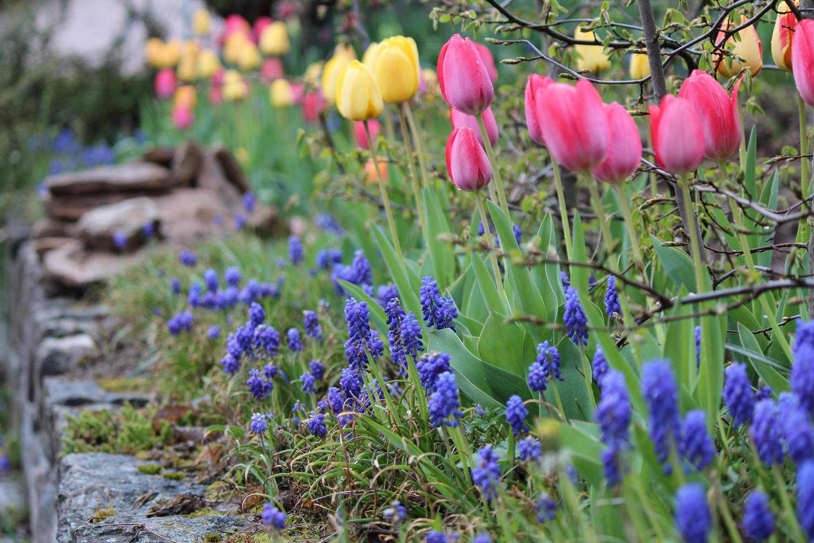 Frühling im Trüben