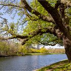 Frühling im Urbanhafen