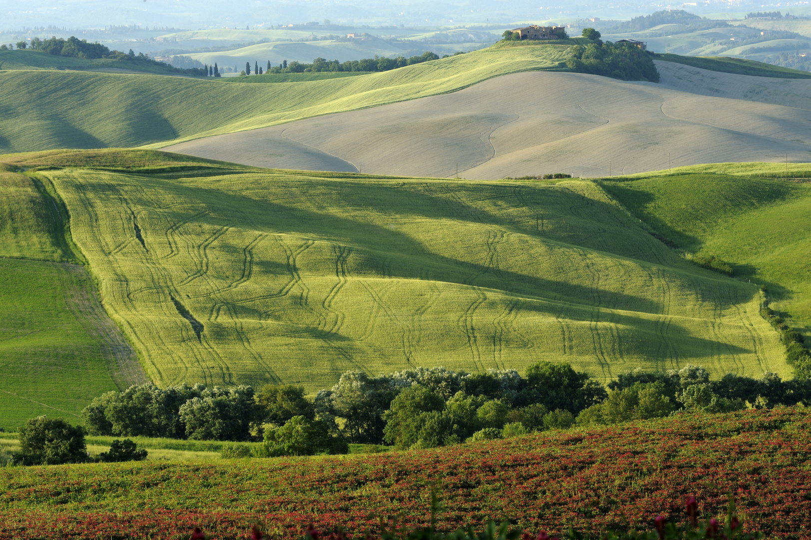 Frühling im Val d'Orcia