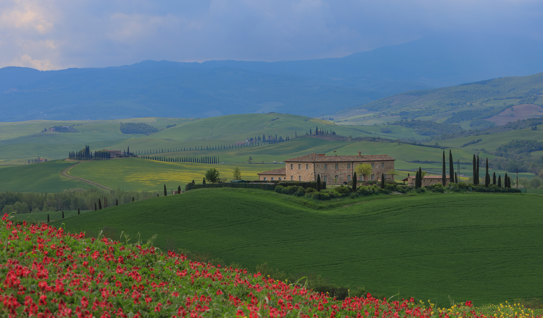 Frühling im Val d`Orcia