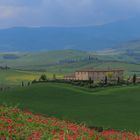 Frühling im Val d`Orcia