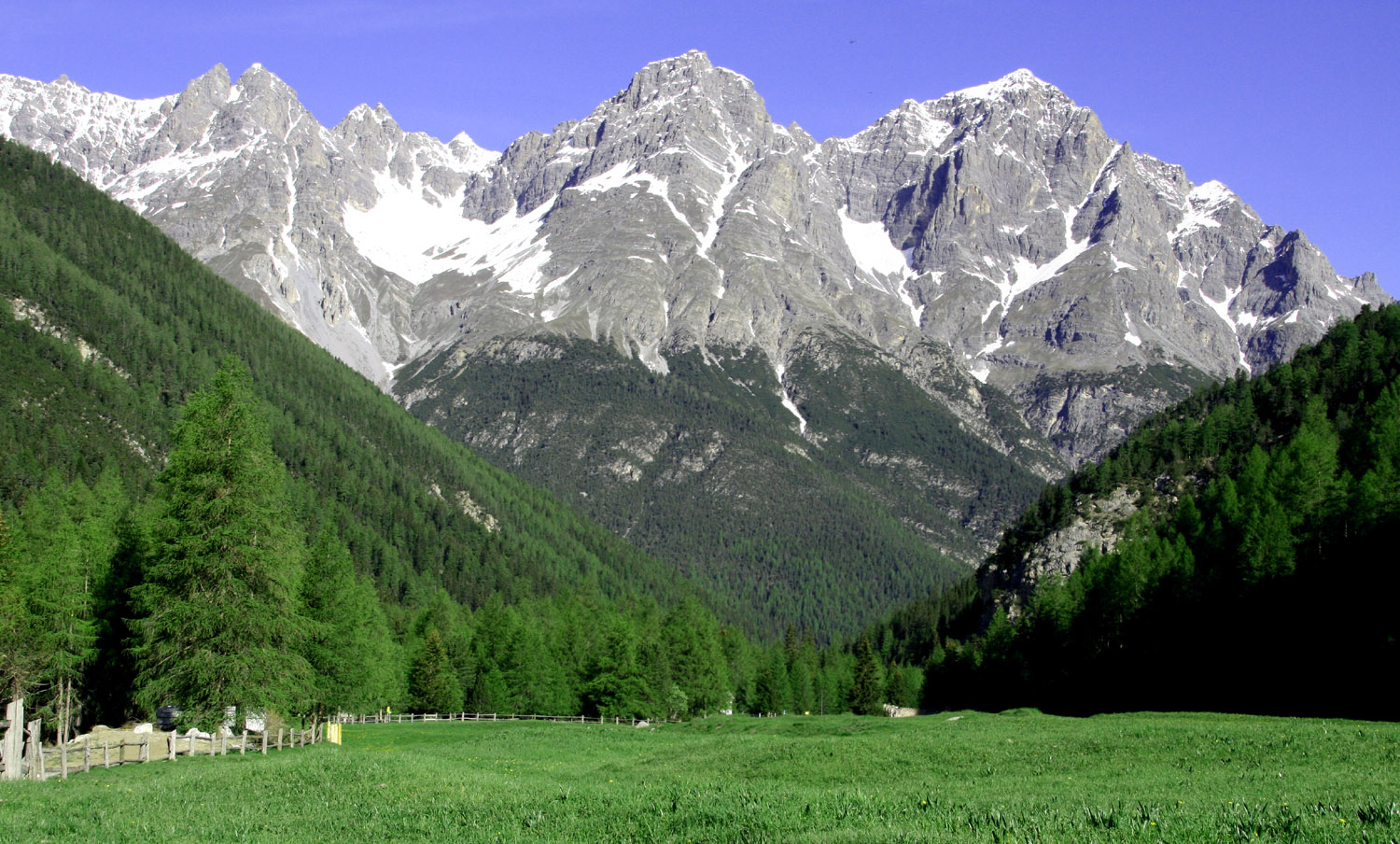 Frühling im Val S-charl