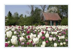 Frühling im Vierjahreszeitenpark