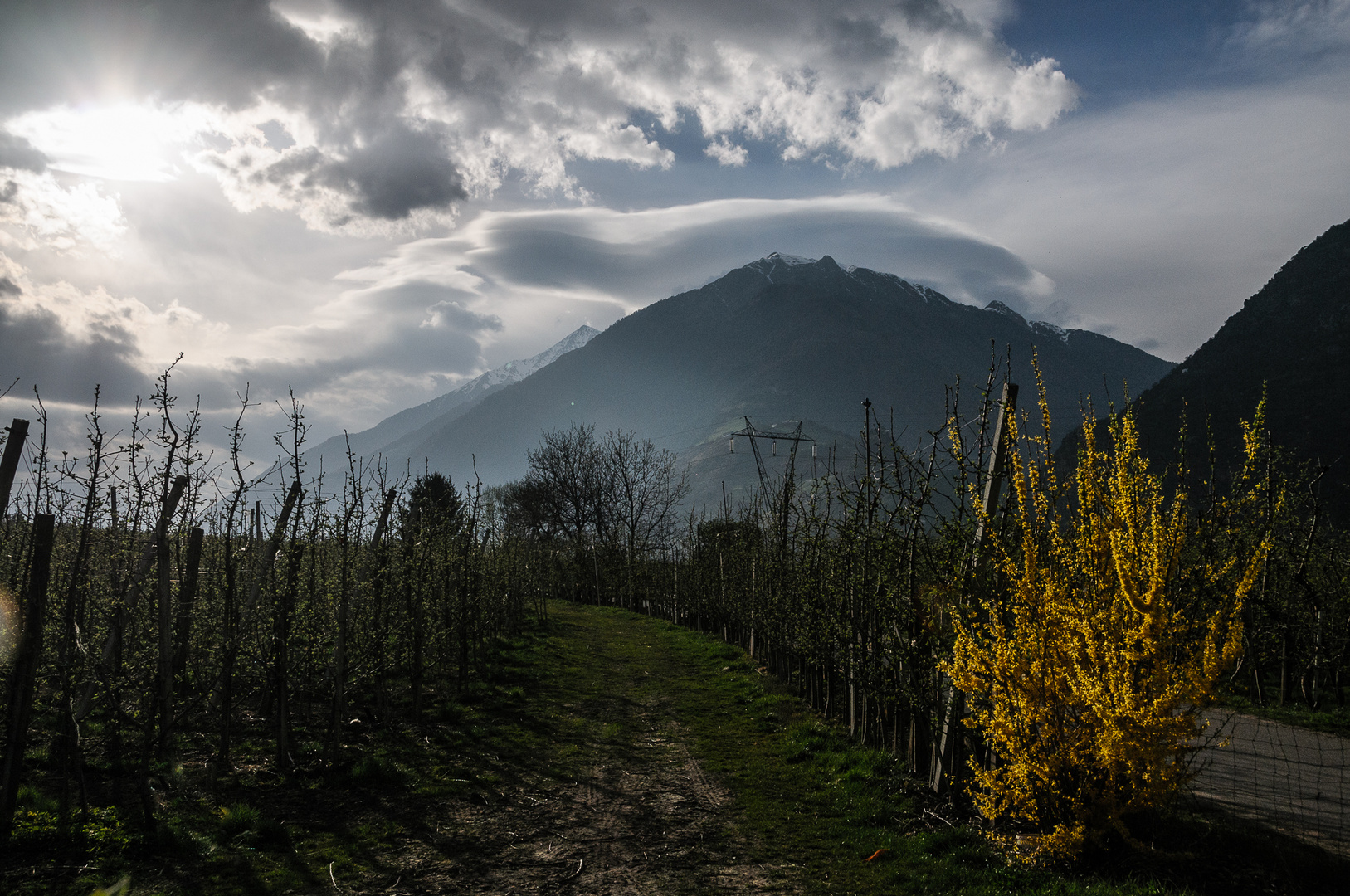 Frühling im Vintschgau