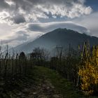 Frühling im Vintschgau