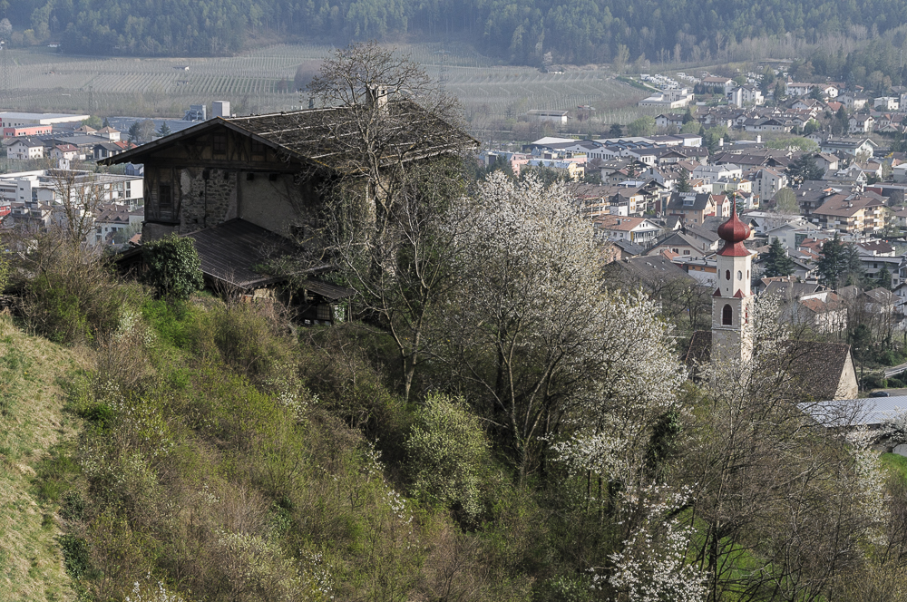 Frühling im Vintschgau