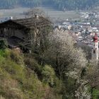 Frühling im Vintschgau