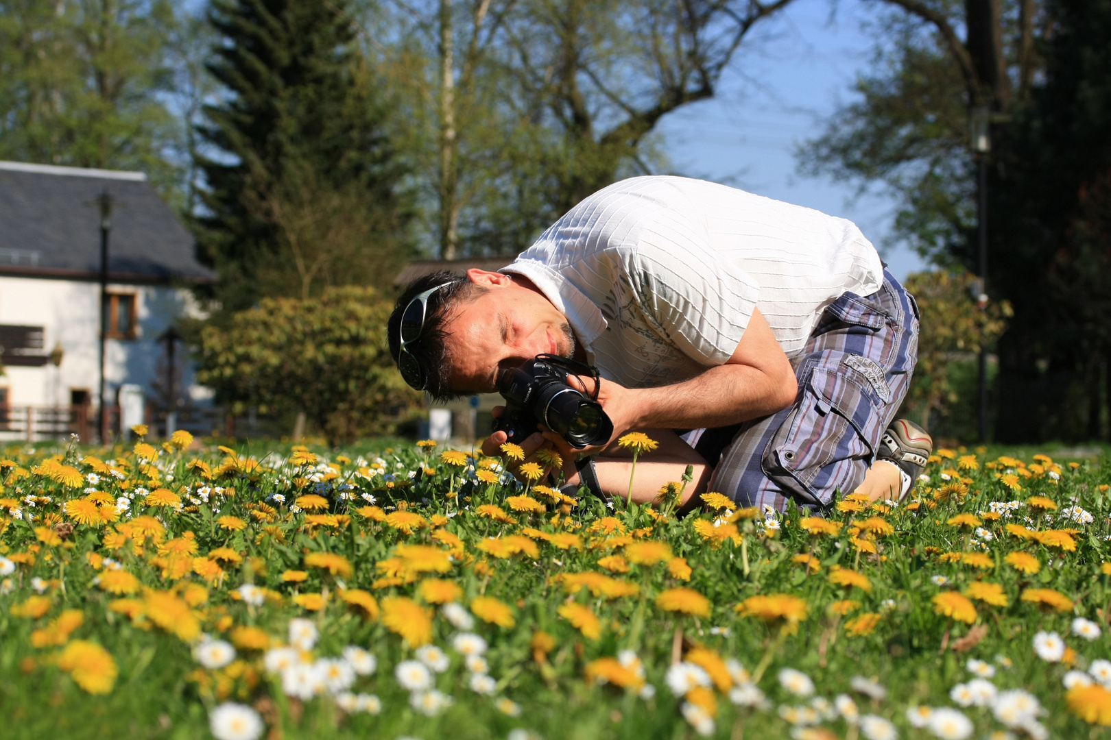 Frühling im Visier