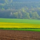 Frühling im Vogelsberg