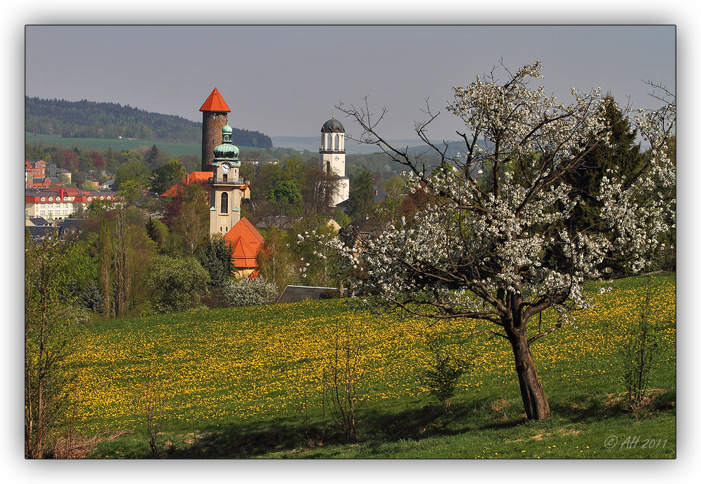 Frühling im Vogtland