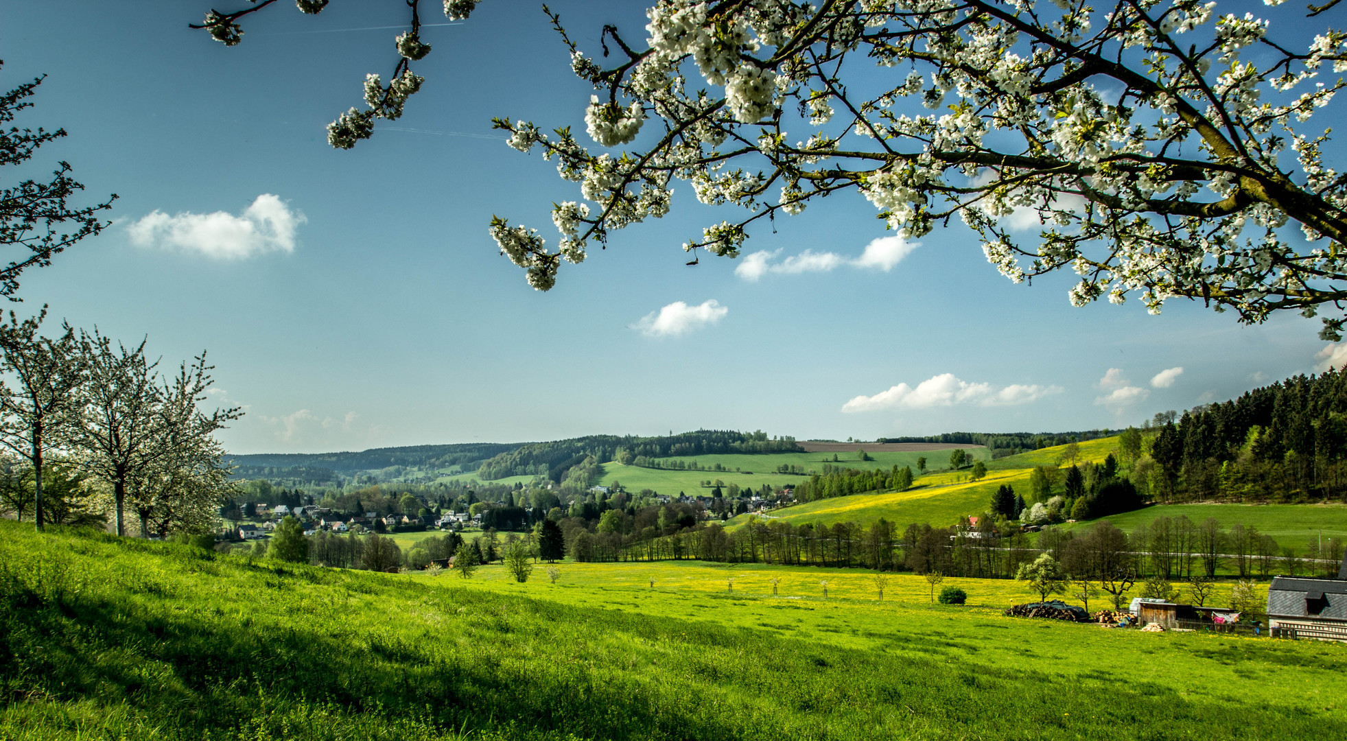 Frühling im Vogtland