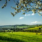 Frühling im Vogtland