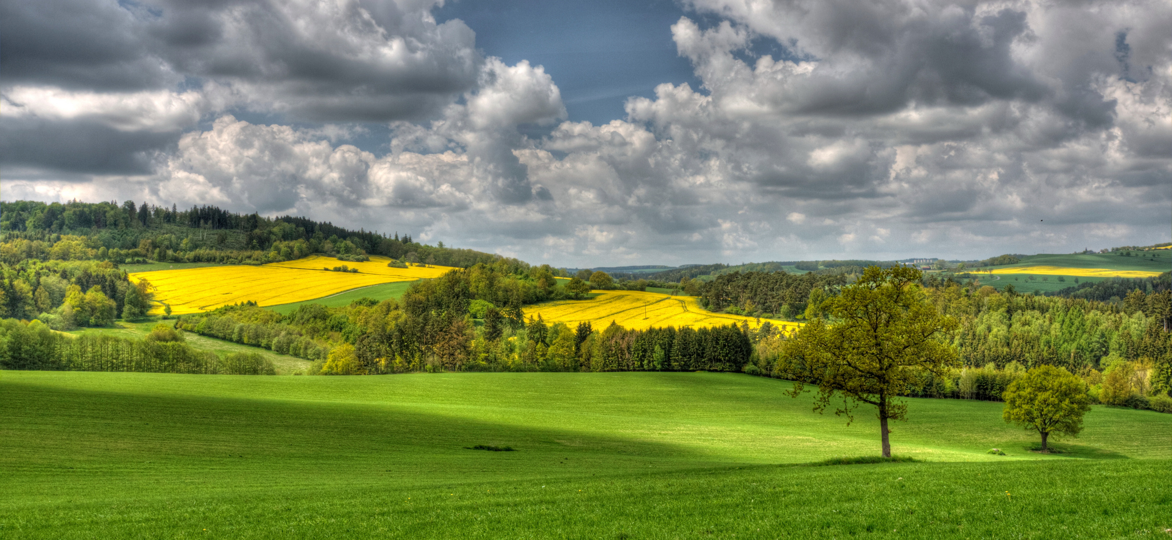 Frühling im Vogtland