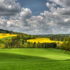 Frühling im Vogtland