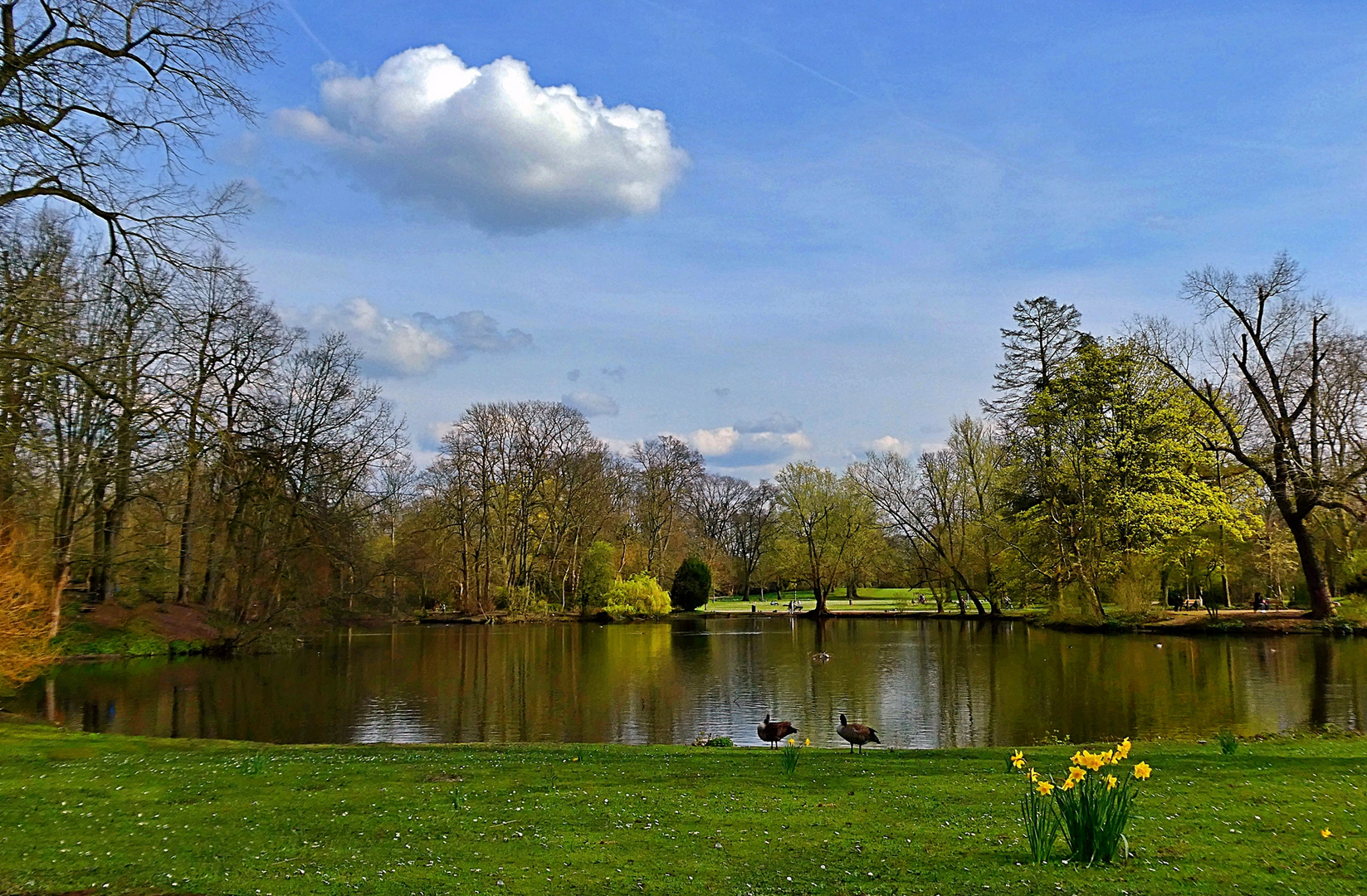 Frühling im Volksgarten