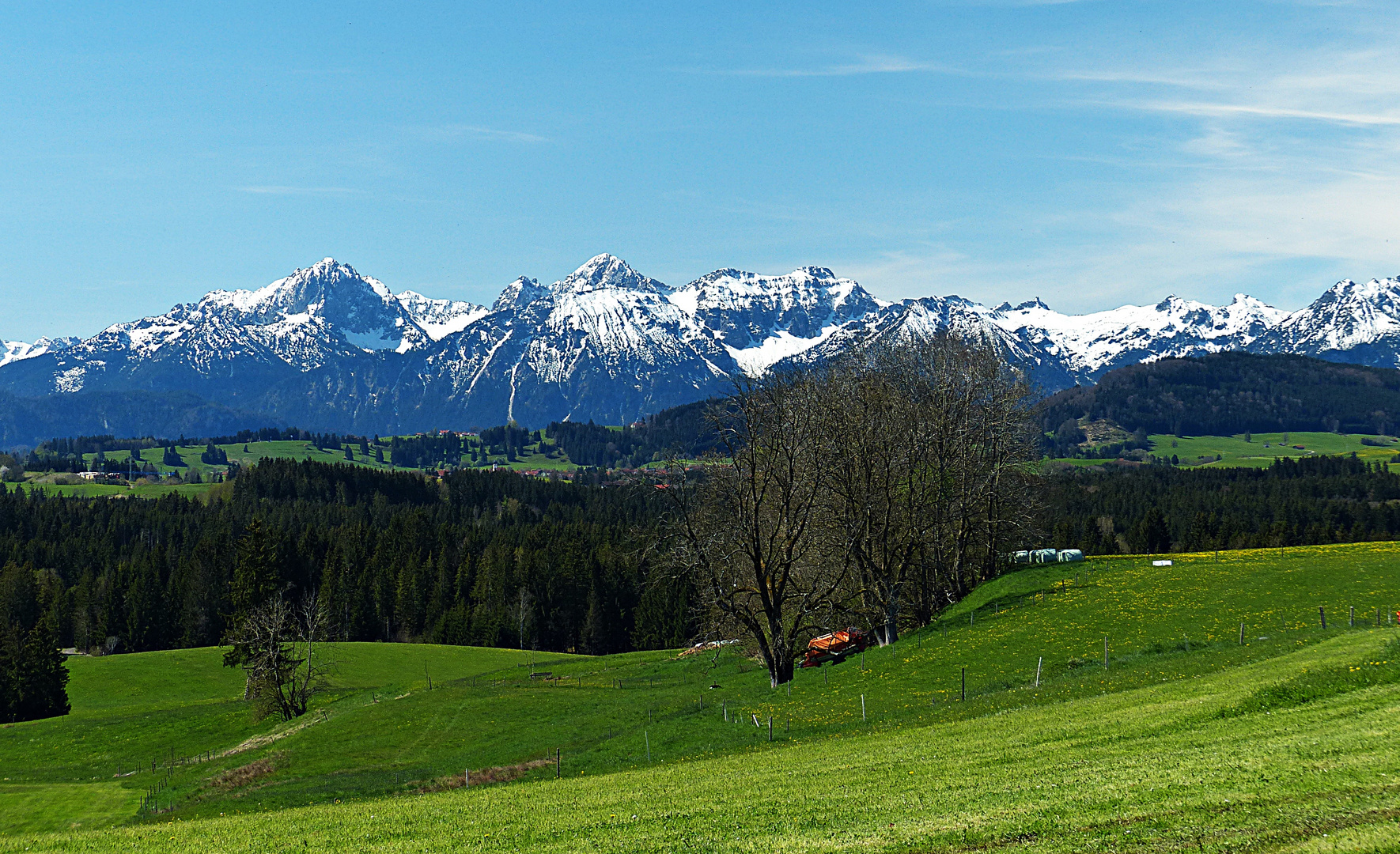 Frühling im Voralpenland 1