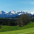 Frühling im Voralpenland 1