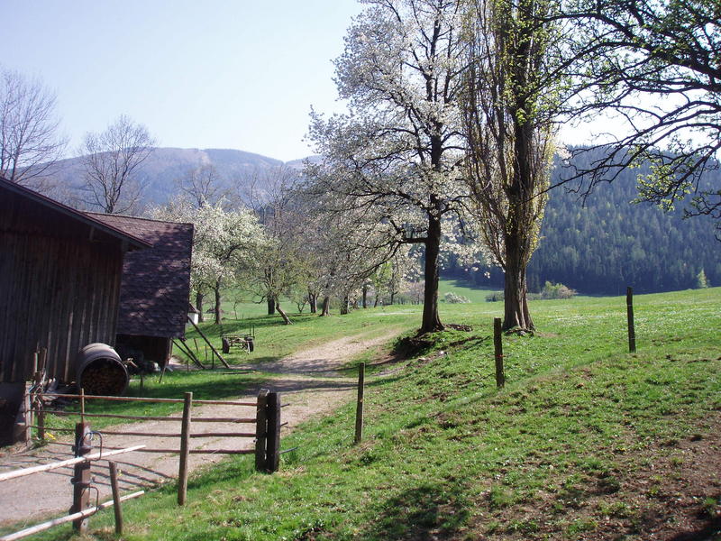 Frühling im Voralpenland