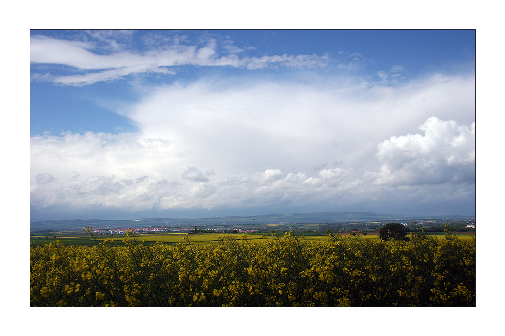 Frühling im Vordertaunus