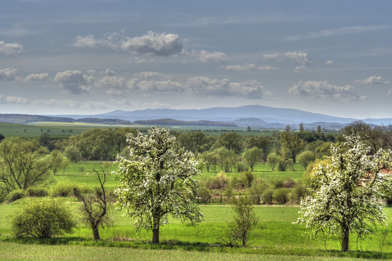 Frühling im Vorharz