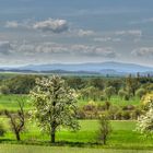 Frühling im Vorharz