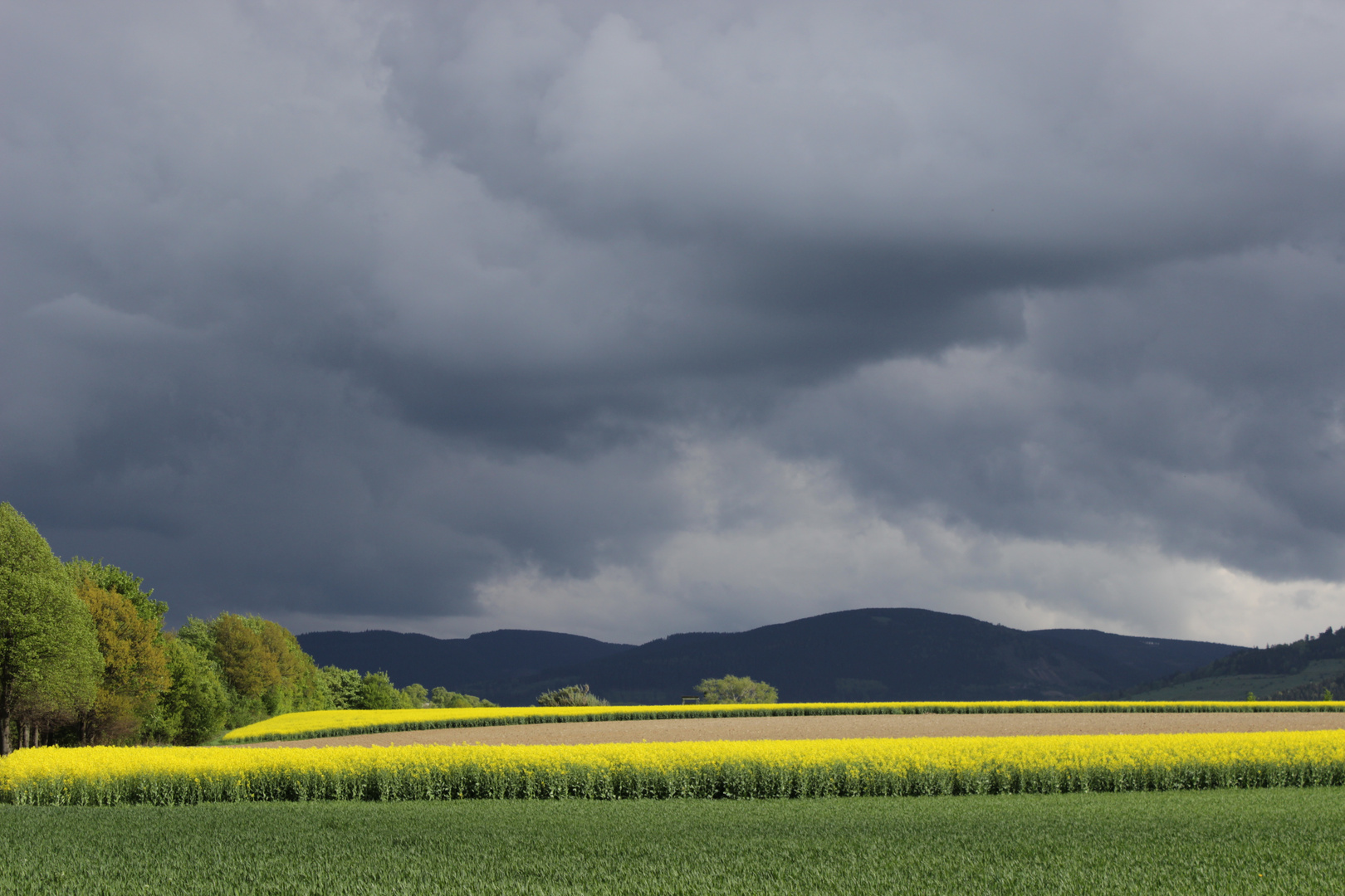 Frühling im Vorharz