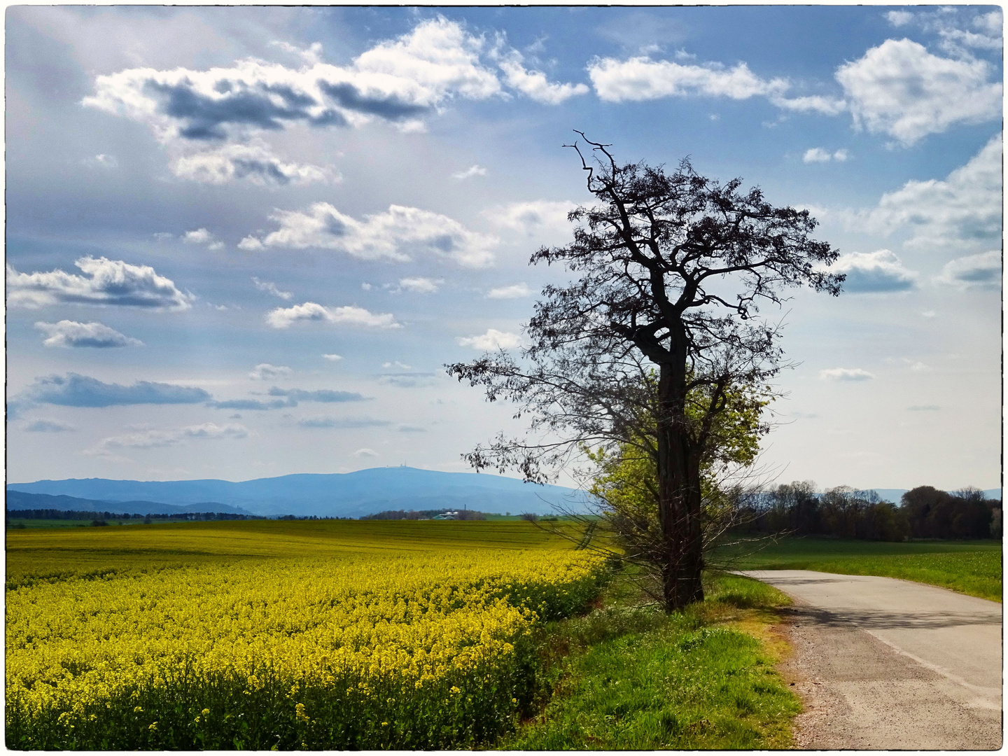 Frühling im Vorharz