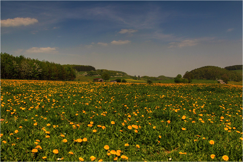 :: ~ Frühling im Waldecker Land ~ ::