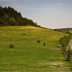 :: ~ Frühling im Waldecker Land ~ :: I