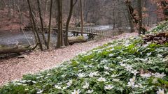 Frühling im Warnowtal