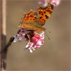 Frühling im Wasserpark--2