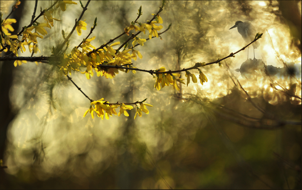 Frühling im Wasserpark