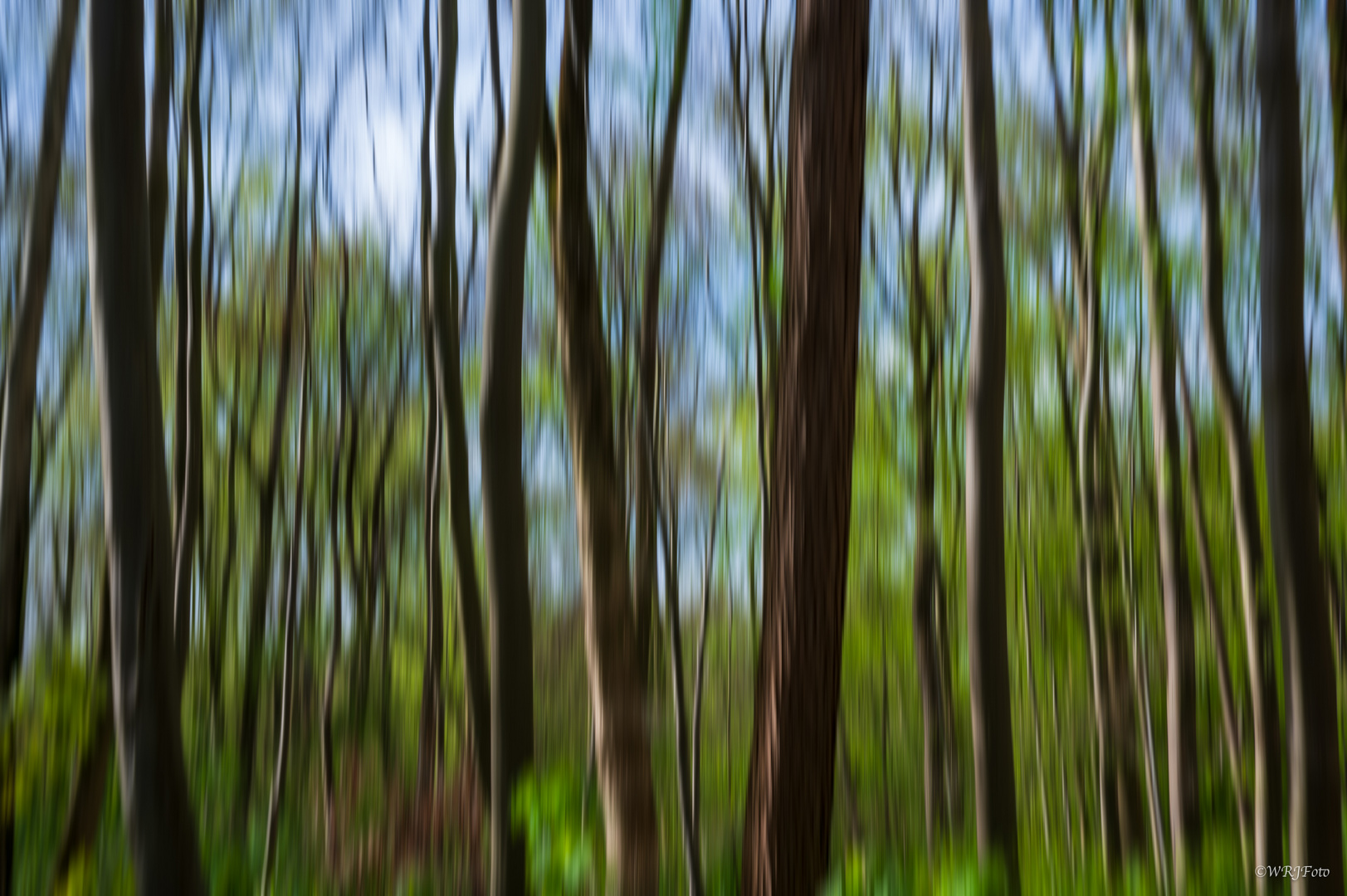 Frühling im Weitmarer Holz