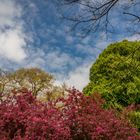 Frühling im Welfengarten - Hannover