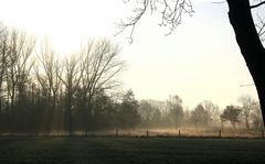 Frühling im Wendland ....