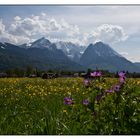 Frühling im Werdenfels