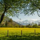 Frühling im Werdenfelser Land