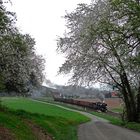 Frühling im Werratal