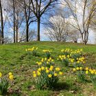 Frühling im Wertwiesenpark 