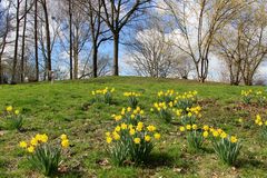 Frühling im Wertwiesenpark 