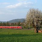 Frühling im Weschnitztal