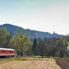  Frühling im Weschnitztal