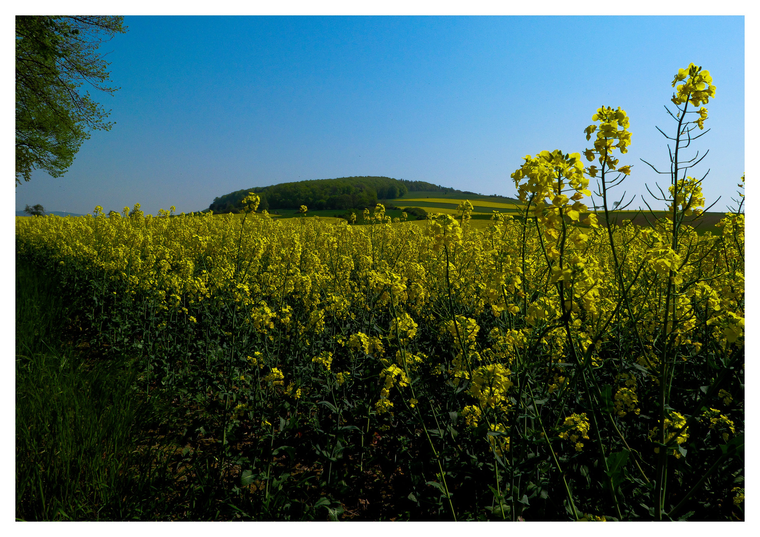 Frühling im Weserbergland