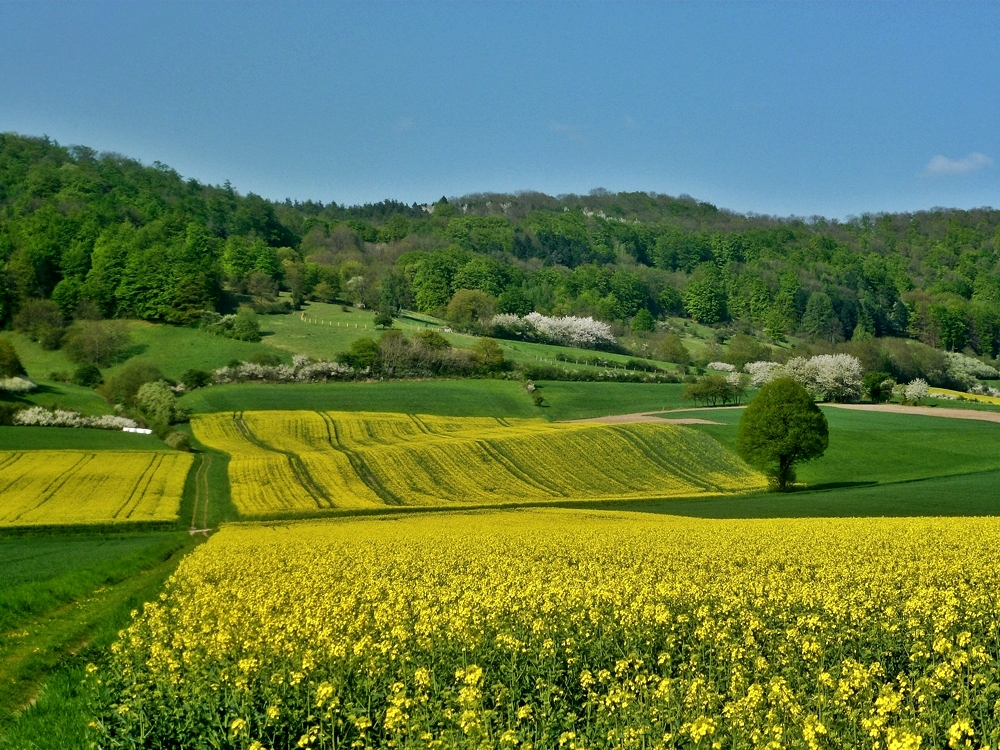 Frühling im Weserbergland