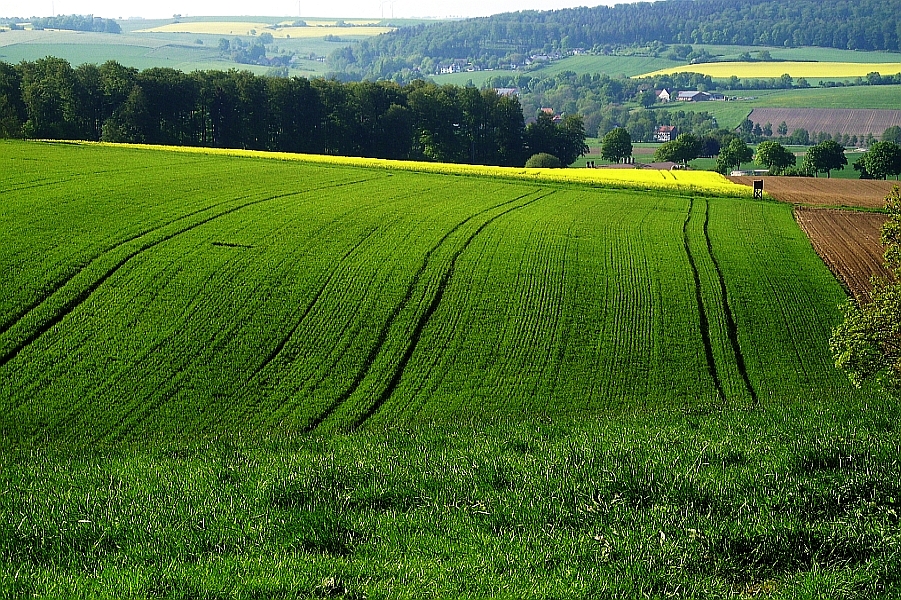 Frühling im Weserbergland