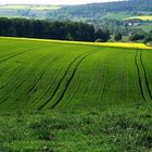 Frühling im Weserbergland