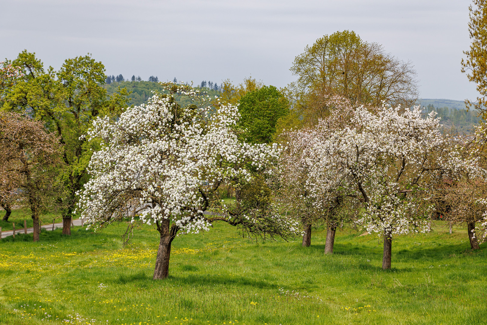 Frühling im Wesertal