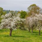 Frühling im Wesertal